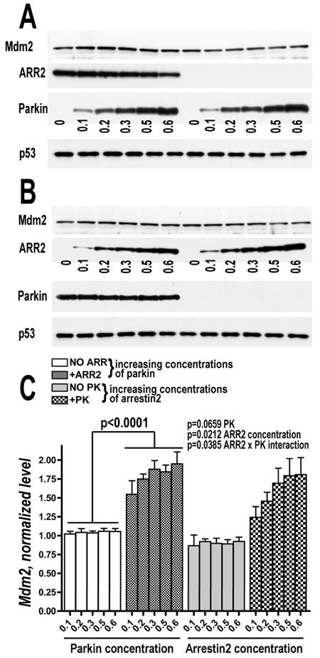 Fig. 6