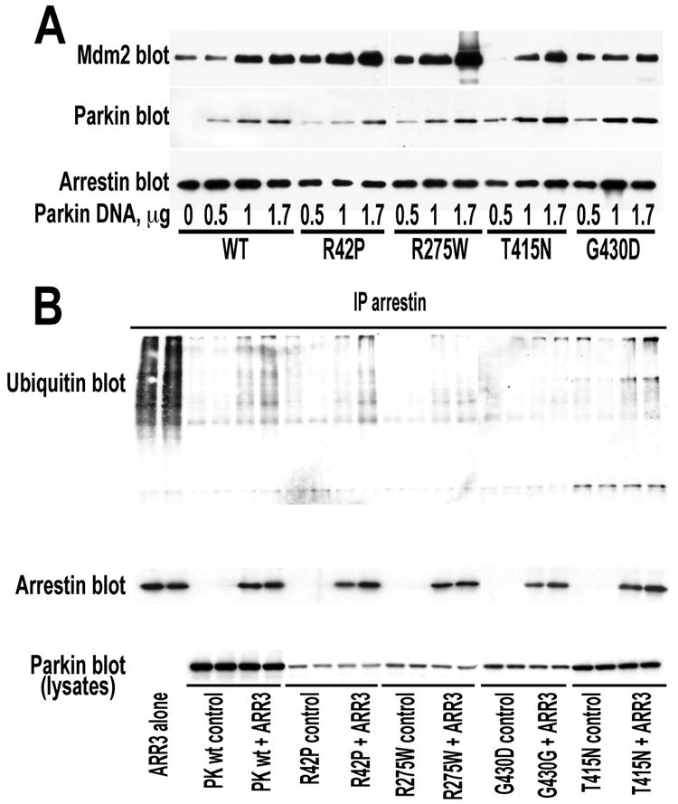 Fig. 9