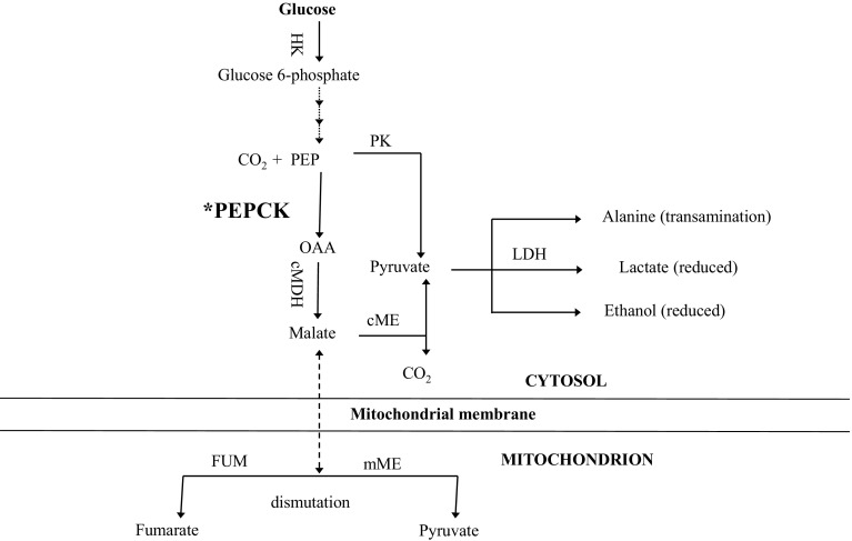 Fig. 2