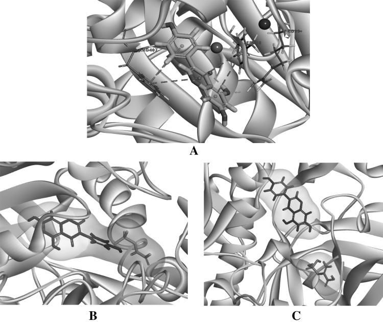 Fig. 4