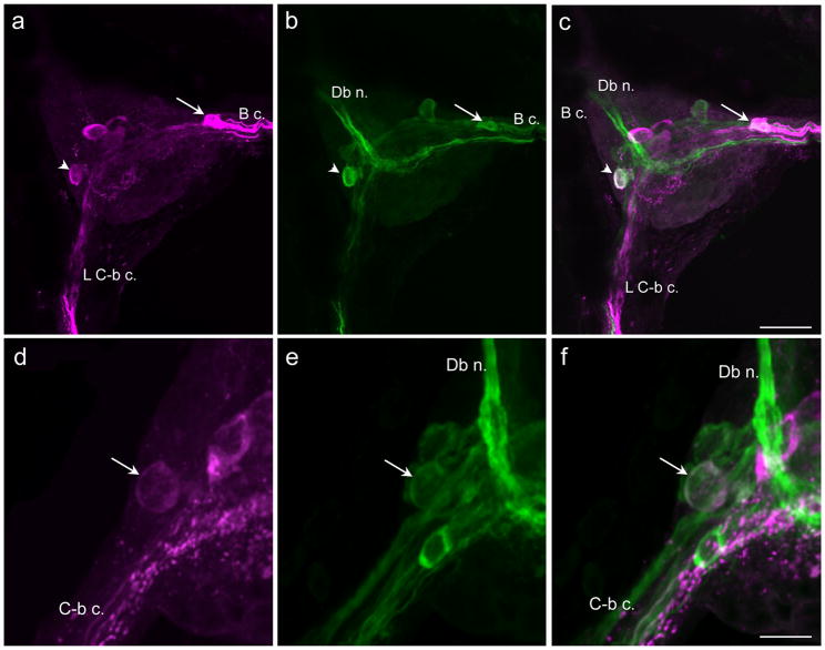 Fig. 9