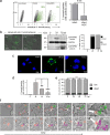 FIG 1