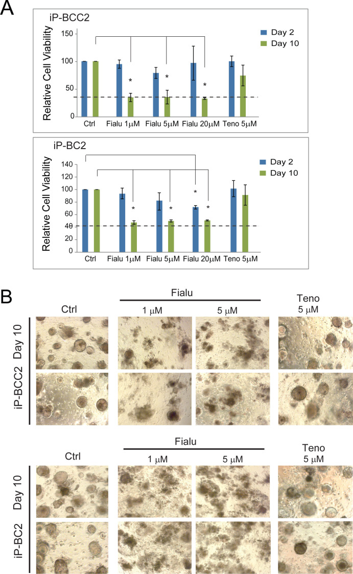 Figure 2—figure supplement 1.