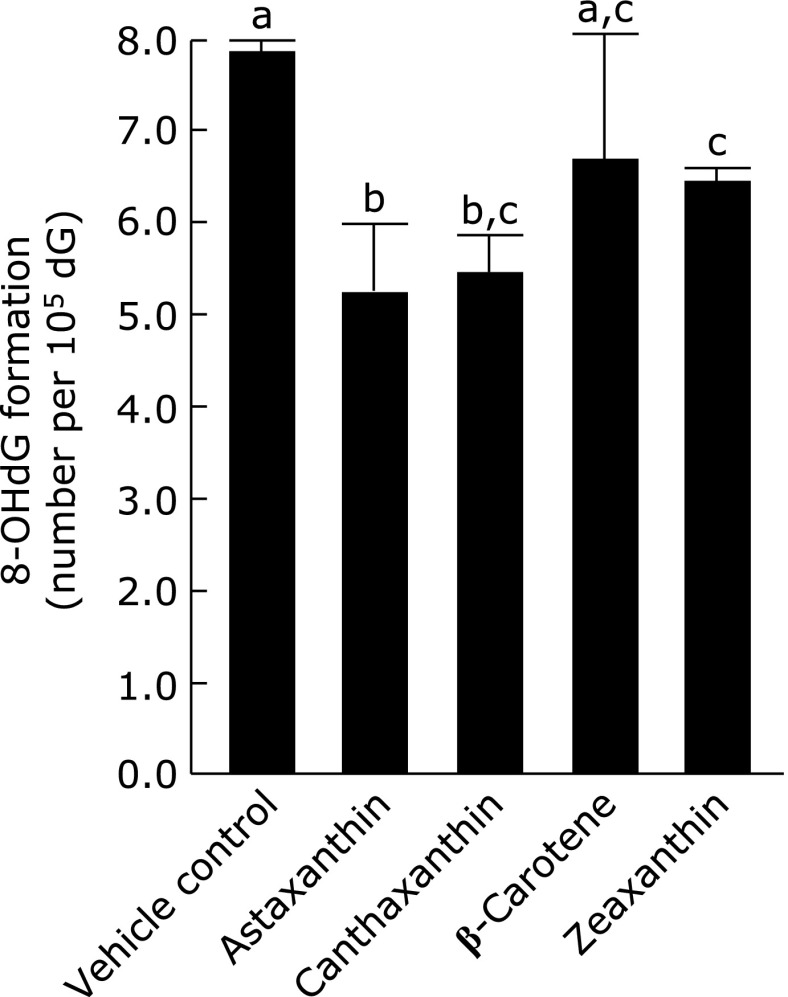 Fig. 6