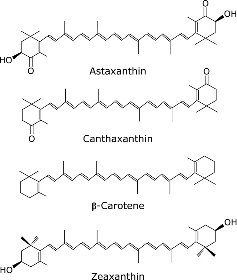 Fig. 7