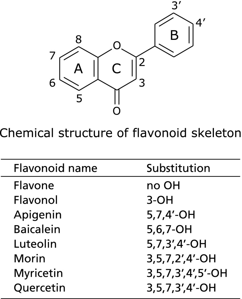 Fig. 5