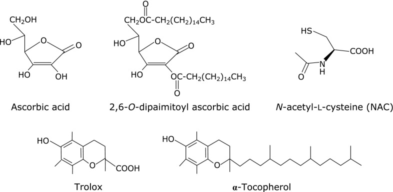 Fig. 2