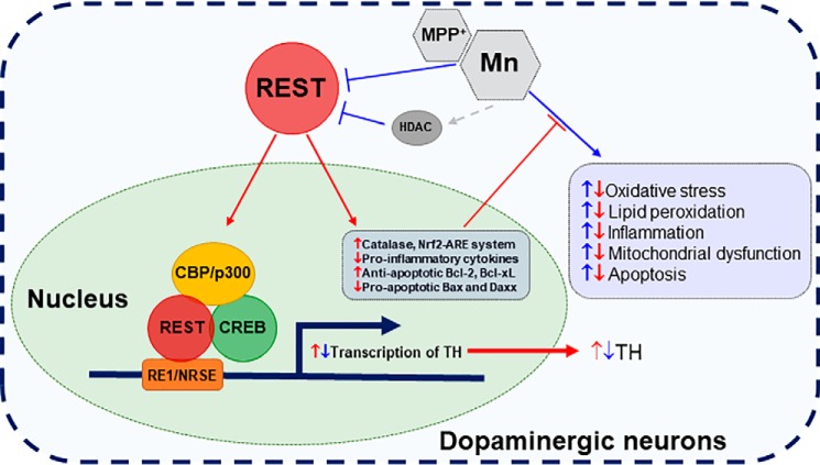 Figure 10.