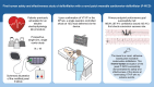 Graphical Abstract