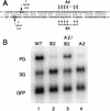 FIG. 5.
