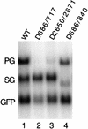 FIG. 2.