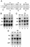 FIG. 7.