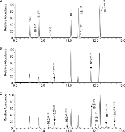 FIGURE 4.