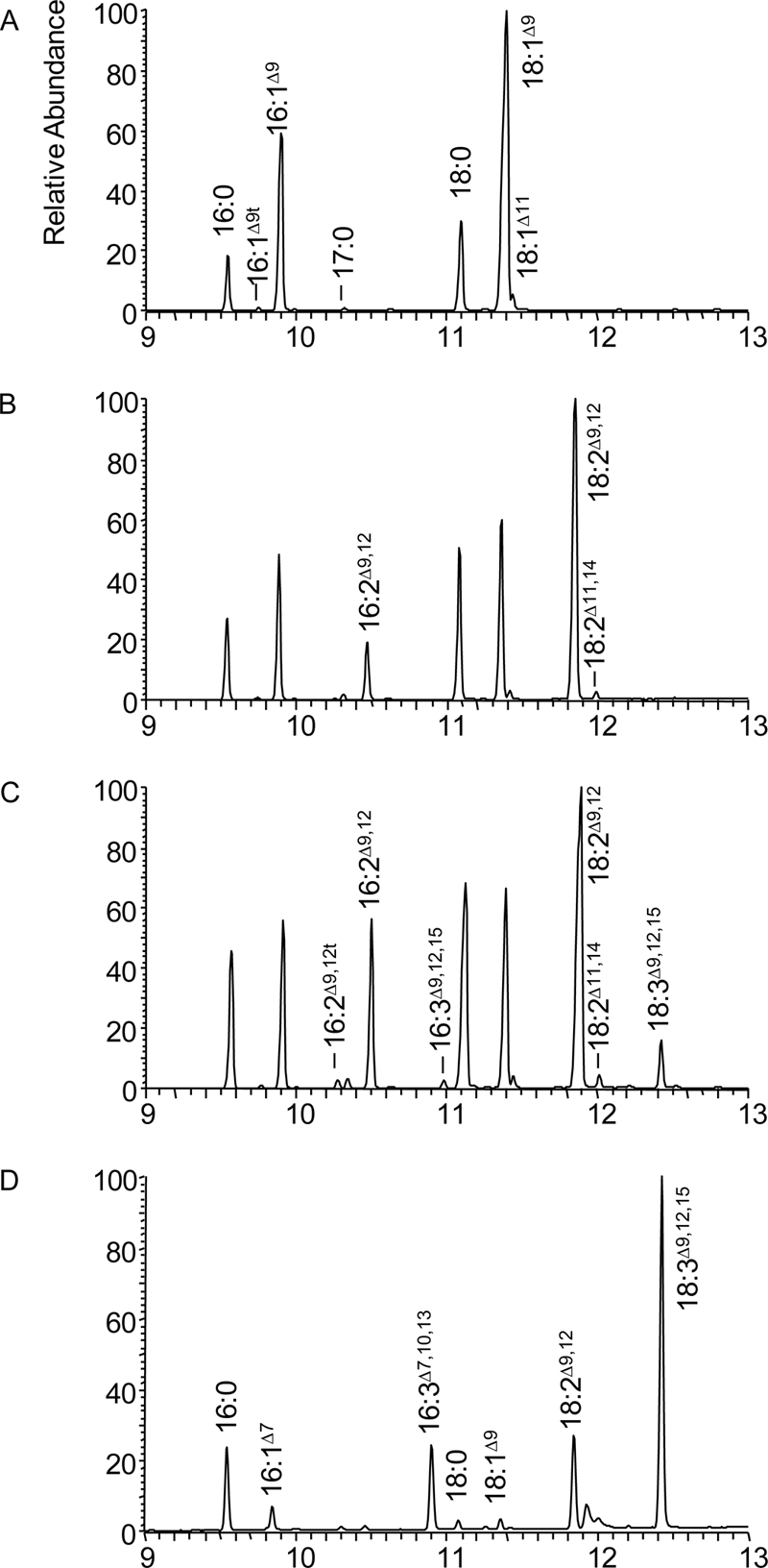 FIGURE 1.