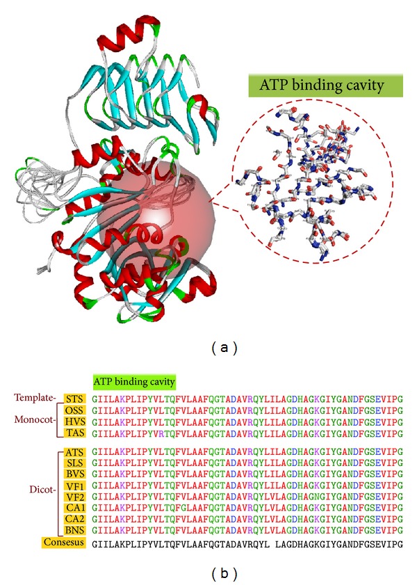 Figure 5