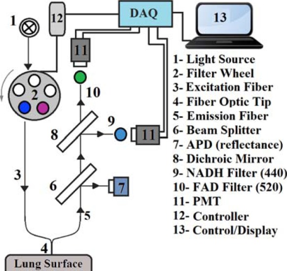 Fig. 1.