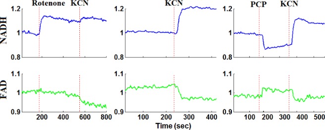 Fig. 4.