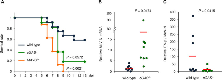 Fig 4