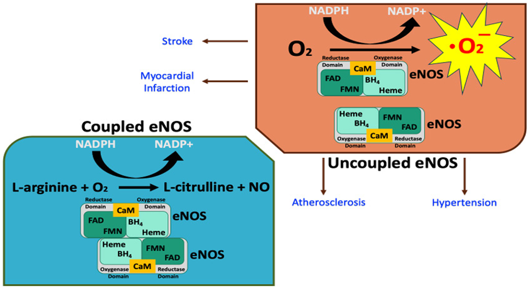 Figure 2: