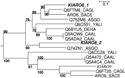 FIG. 1.