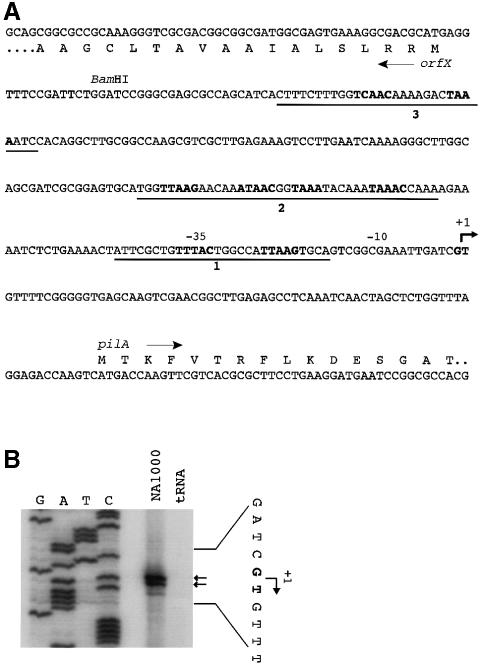 graphic file with name cdd312f6.jpg