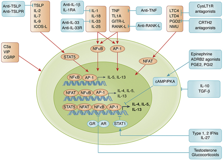 Figure 2