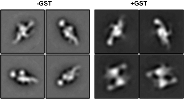 Extended Data Fig. 3