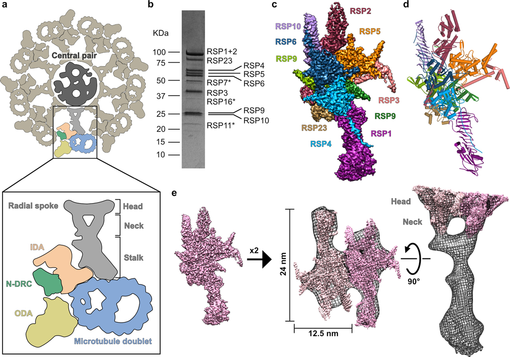 Fig.1.