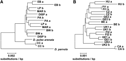 Figure 2.—