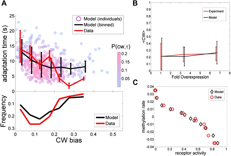 Figure 2—figure supplement 1.