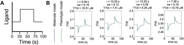 Figure 2—figure supplement 2.