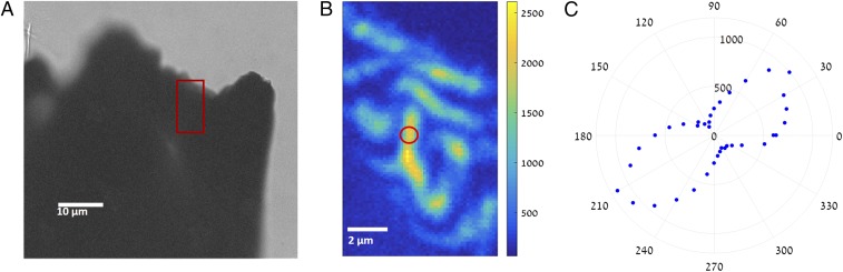 Fig. 6.