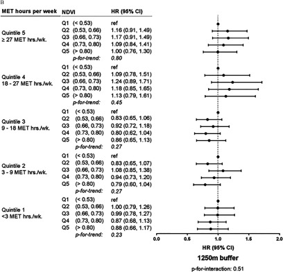 Figures 2a and 2b are forest plots marking hazard ratios (95 percent confidence interval) with 250 meters buffer, p-for-interaction 0.23 and 1250 meters buffer, p-for-interaction 0.51, respectively, for MET hours per week (Quintiles 5 to Quintiles 1) and NDVI.