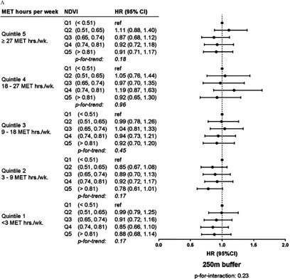 Figures 2a and 2b are forest plots marking hazard ratios (95 percent confidence interval) with 250 meters buffer, p-for-interaction 0.23 and 1250 meters buffer, p-for-interaction 0.51, respectively, for MET hours per week (Quintiles 5 to Quintiles 1) and NDVI.