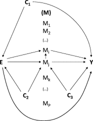 Figure 3 is a schematic displaying E connected to M subscript 1 to M subscript i and M subscript j to M subscript p, which are connected to Y. E and Y and M subscript j and M subscript i are directly connected with each other. C subscript 1 is connected to E and Y, C subscript 2 is connected to E and M subscript j to M subscript p, and C subscript 3 is connected to M subscript j to M subscript p and Y. All are connected with arrows.