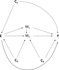 Figure 2 is a schematic displaying E connected to M subscript 2 and M subscript 1, which are connected to Y. E and Y and M subscript 1 and M subscript 2 are directly connected with each other. C subscript 1 is connected to E and Y, C subscript 2 is connected to E and M subscript 2, and C subscript 3 is connected to M subscript 2 and Y. All are connected with arrows.