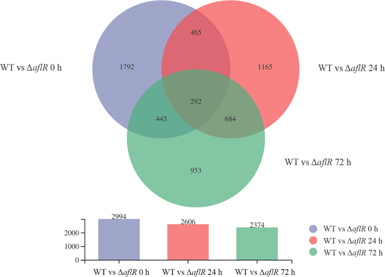 FIG 6