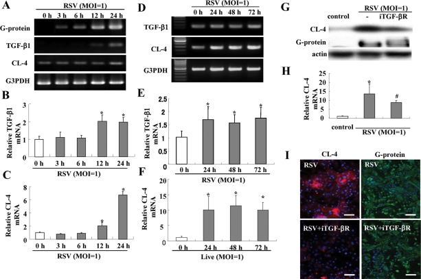 FIGURE 6: