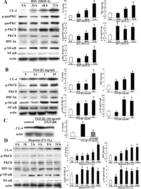 FIGURE 7: