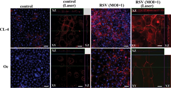 FIGURE 3: