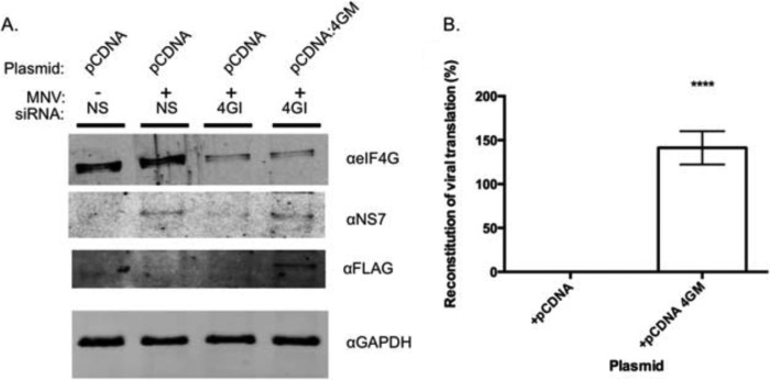 FIGURE 10.