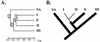 FIG. 8.
