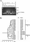 FIG. 7.
