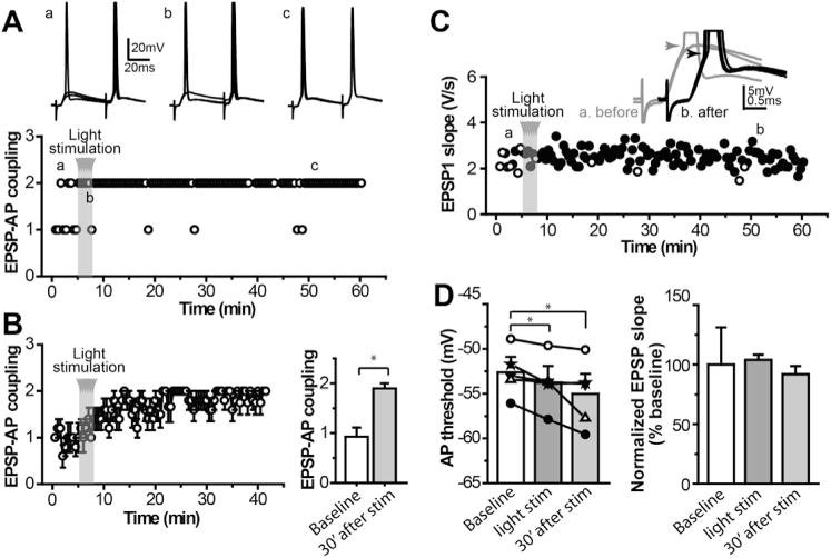 Fig. 7