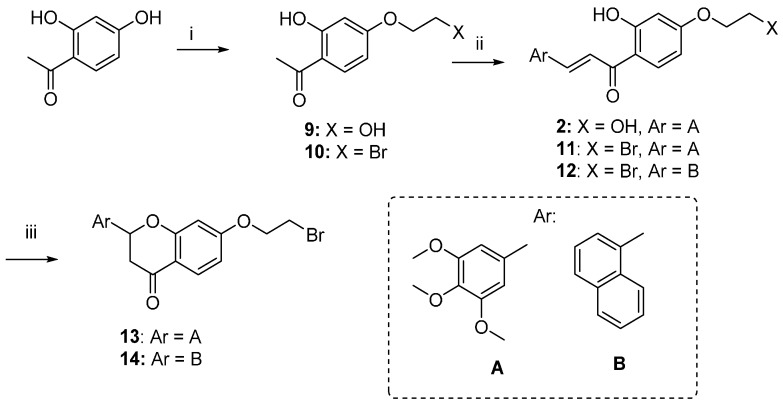 Scheme 2