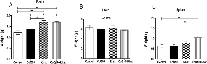 Figure 1