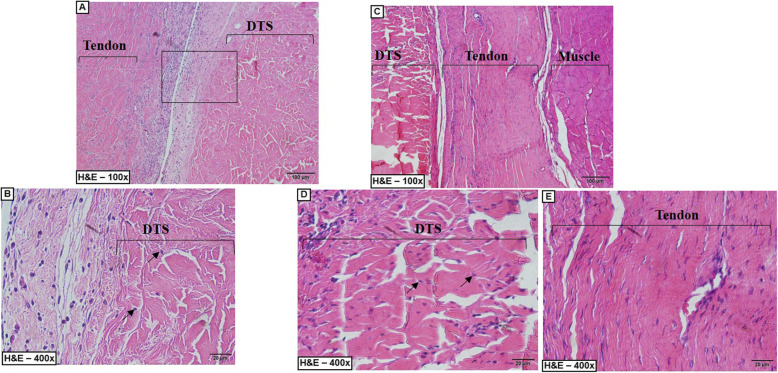 Fig. 9