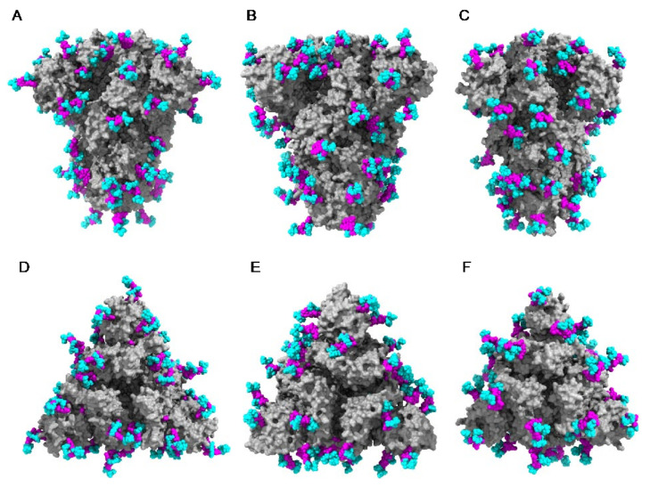 Figure 35