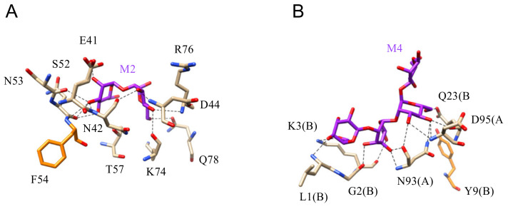 Figure 20