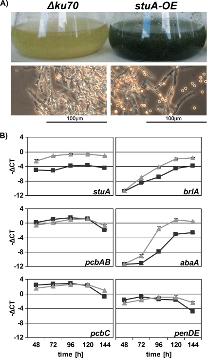 FIG. 6.